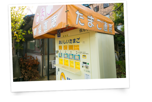 農場直売たまご