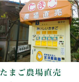 たまご農場直売