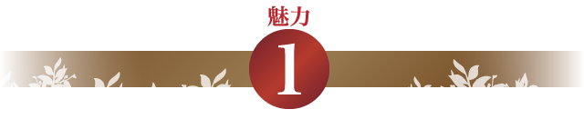 魅力１